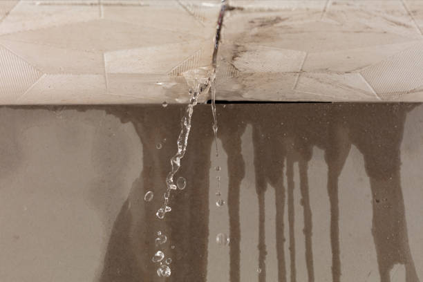 Professional Sewage Cleanup technician working in Fletcher, OH
